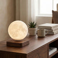 Moon-shaped lamp on a wooden surface with books and a plant in the background
